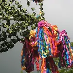 Ekstroems *