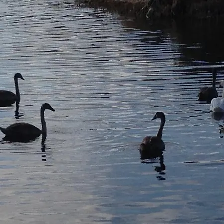 Ekstroems Vakantiehuis