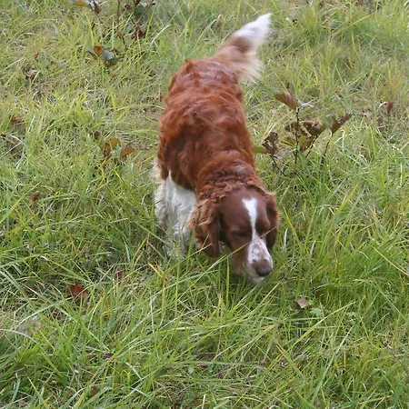 Hébergement de vacances Ekstroems Gottby