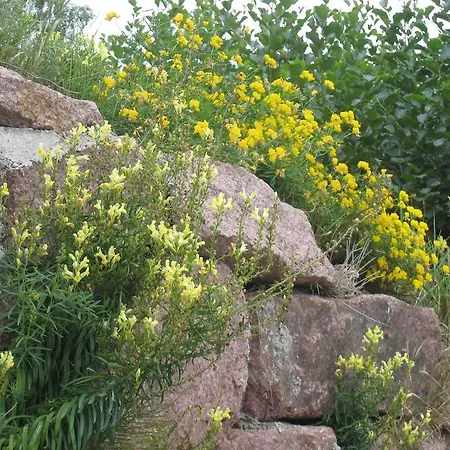 Hébergement de vacances Ekstroems *