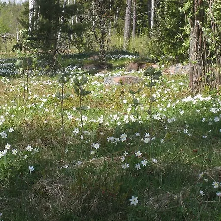 Vakantiehuis Ekstroems Gottby