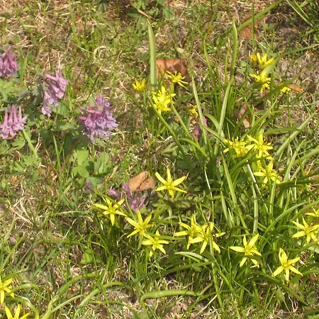 Vakantiehuis Ekstroems Gottby