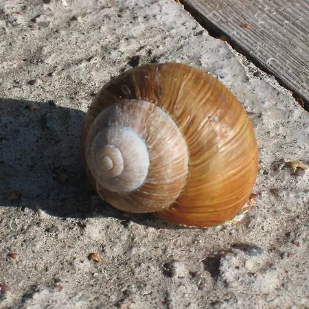 Hébergement de vacances Ekstroems Gottby