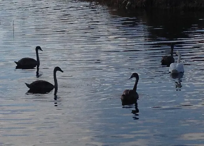 Ekstroems בית נופש
