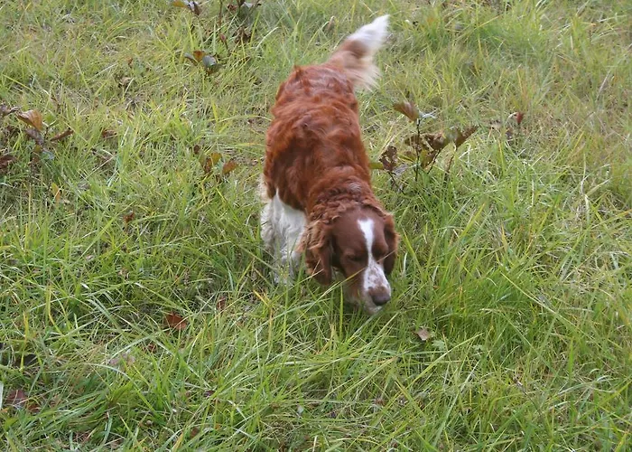 בית נופש Ekstroems Gottby