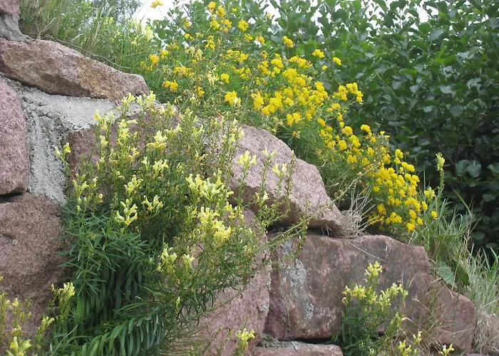 Сasa de vacaciones Ekstroems *