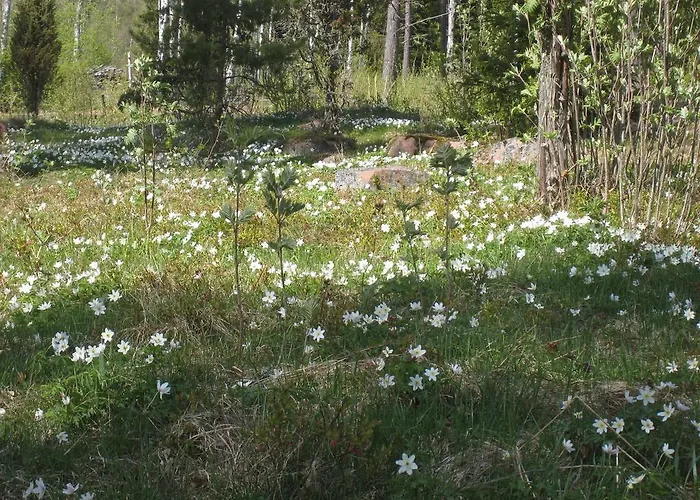 Casa de Férias Ekstroems Gottby