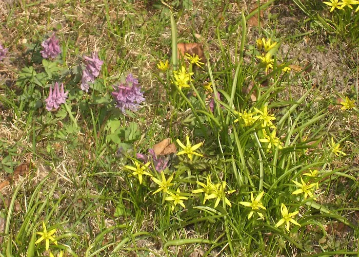 Casa de Férias Ekstroems Gottby