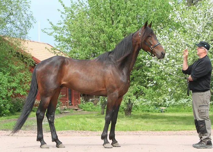 Сasa de vacaciones Ekstroems *