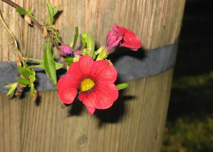 Casa de Férias Ekstroems *