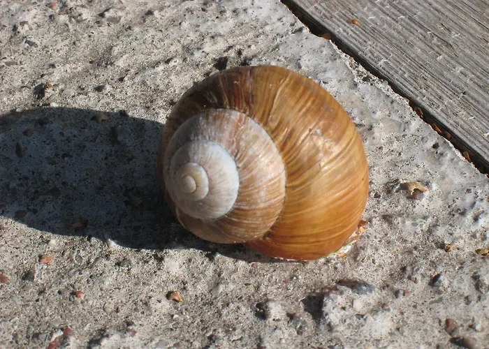 Casa de Férias Ekstroems Gottby