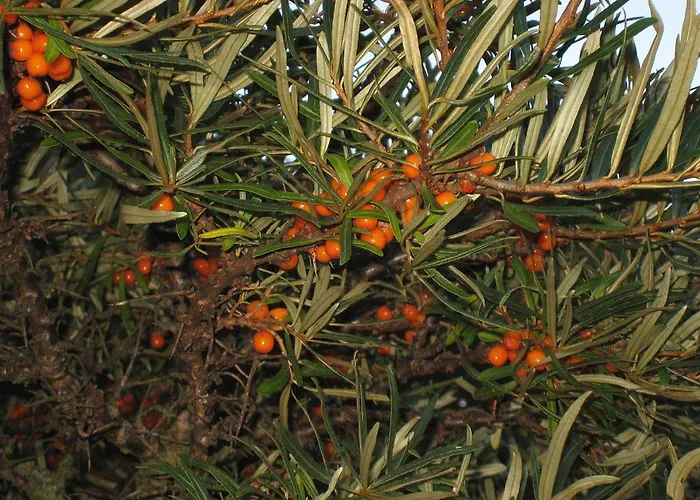 Сasa de vacaciones Ekstroems *