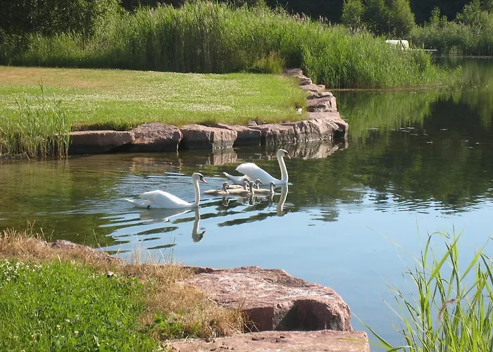 Ekstroems Сasa de vacaciones *